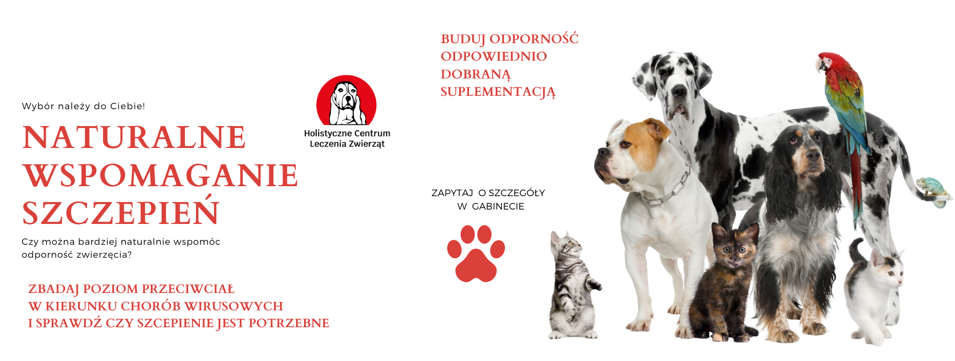 weterynaria holistyczna szczepienia